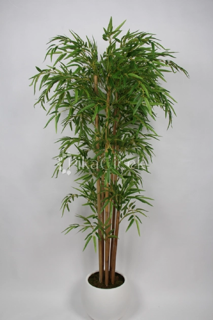 Yapay Bambu A�ac� 180 cm