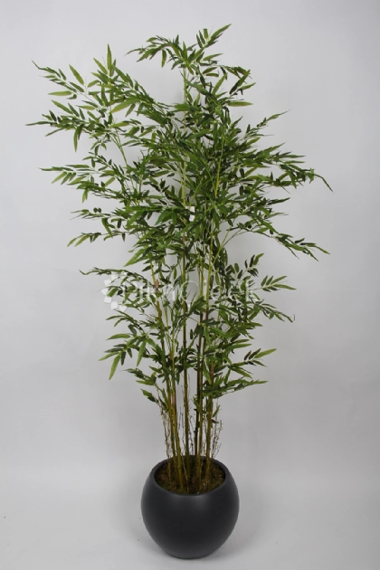 Yapay Bambu A�ac� 180 cm