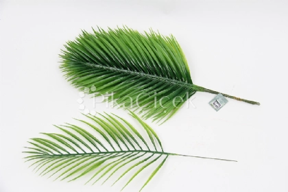 Yapay Cikas Dal�