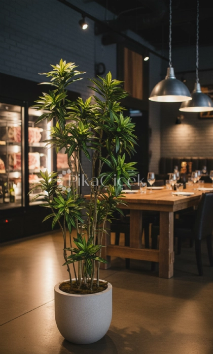 Yapay Dracena A�ac� 180 cm