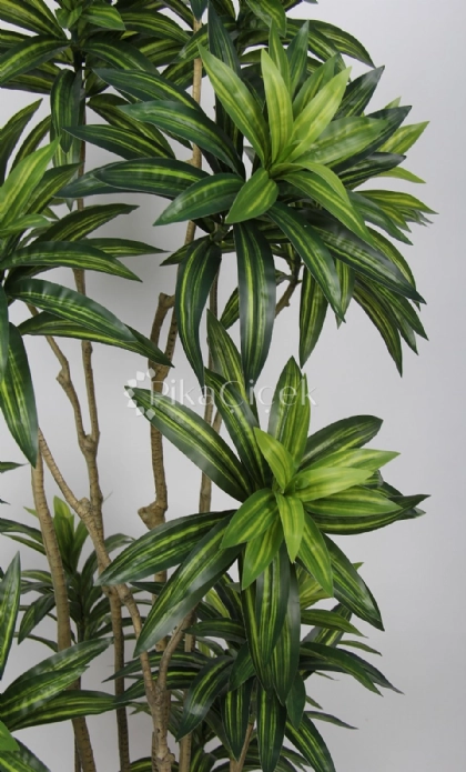 Yapay Dracena A�ac� 180 cm