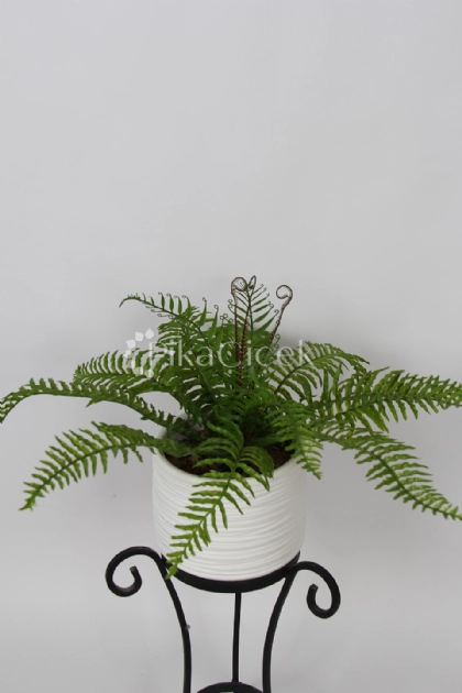 Yapay Fujer Demet  15 Yaprak