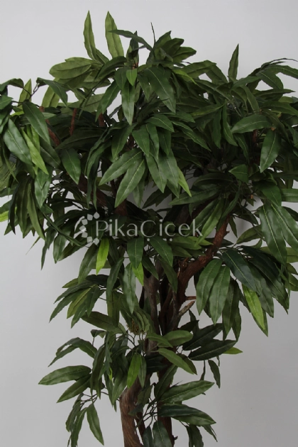 Yapay Mango A�ac� 170 cm
