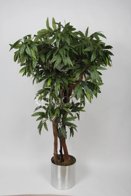 Yapay Mango A�ac� 170 cm