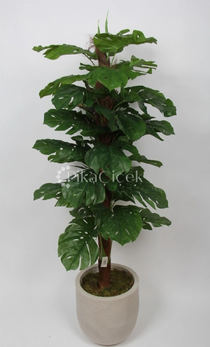 Yapay Mostera 170 cm