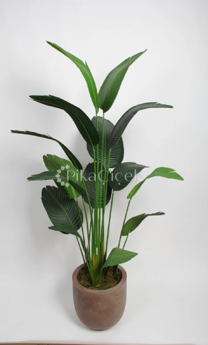Yapay Starli�e 180 cm