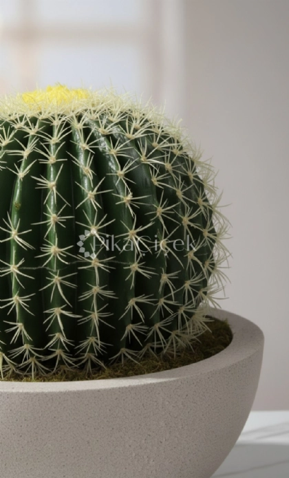 Yapay Top Kakt�s 28 cm